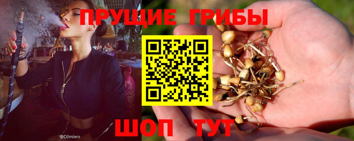 Псилоцибиновые грибы прущие грибы  Вход с VPN  хочу   Каменка  Галлюциногенные грибы ЛСД 